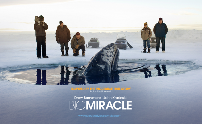 Big Miracle<br /><i>Whale Puppeteer</i>
